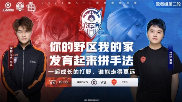 分茄碱含量 分茄碱含量