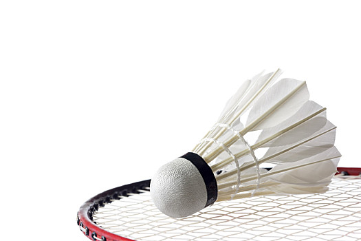 身体对抗能 身体对抗能